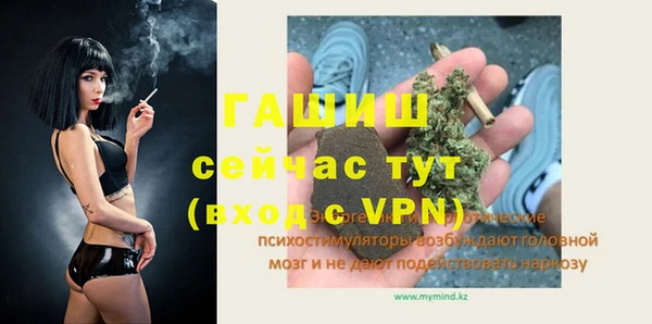 apvp Алзамай