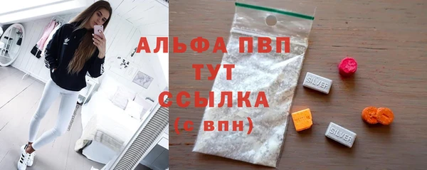apvp Алзамай