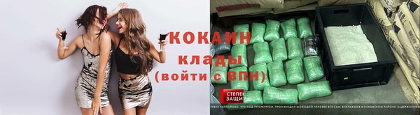 apvp Алзамай