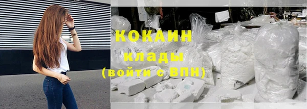 apvp Алзамай