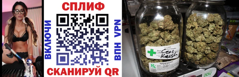 Конопля Bruce Banner  купить наркоту  Арамиль 